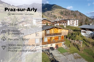 chalet à la vente -   74120  PRAZ SUR ARLY, surface 255 m2 vente chalet - UBI450537182